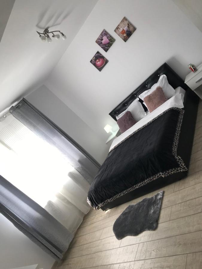 Apartmán Cazare Apartament Rasnov Exteriér fotografie